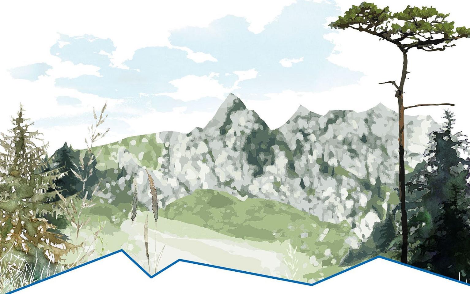 Berg und Schutzwald